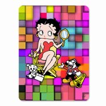 Betty Boop Lenticular 4”x6” Magnet Deluxe 4”x6”, 3D Movie Star Mosaic Image, Rainbow