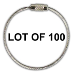 LOT of 100 Stainless Steel Screw Cable Loop Tags