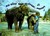 3D Lenticular POSTCARD - ELEPHANTS