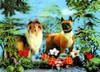 3D Lenticular POSTCARD - TWO DogS