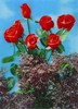 3D Lenticular POSTCARD - LILAC and Red ROSE