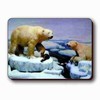 3D Lenticular Magnet - White ICE BearS SSP-207-MAL