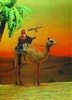 3D Lenticular Picture / Poster 10.5" X 13.5" - MAN RIDE A CAMEL